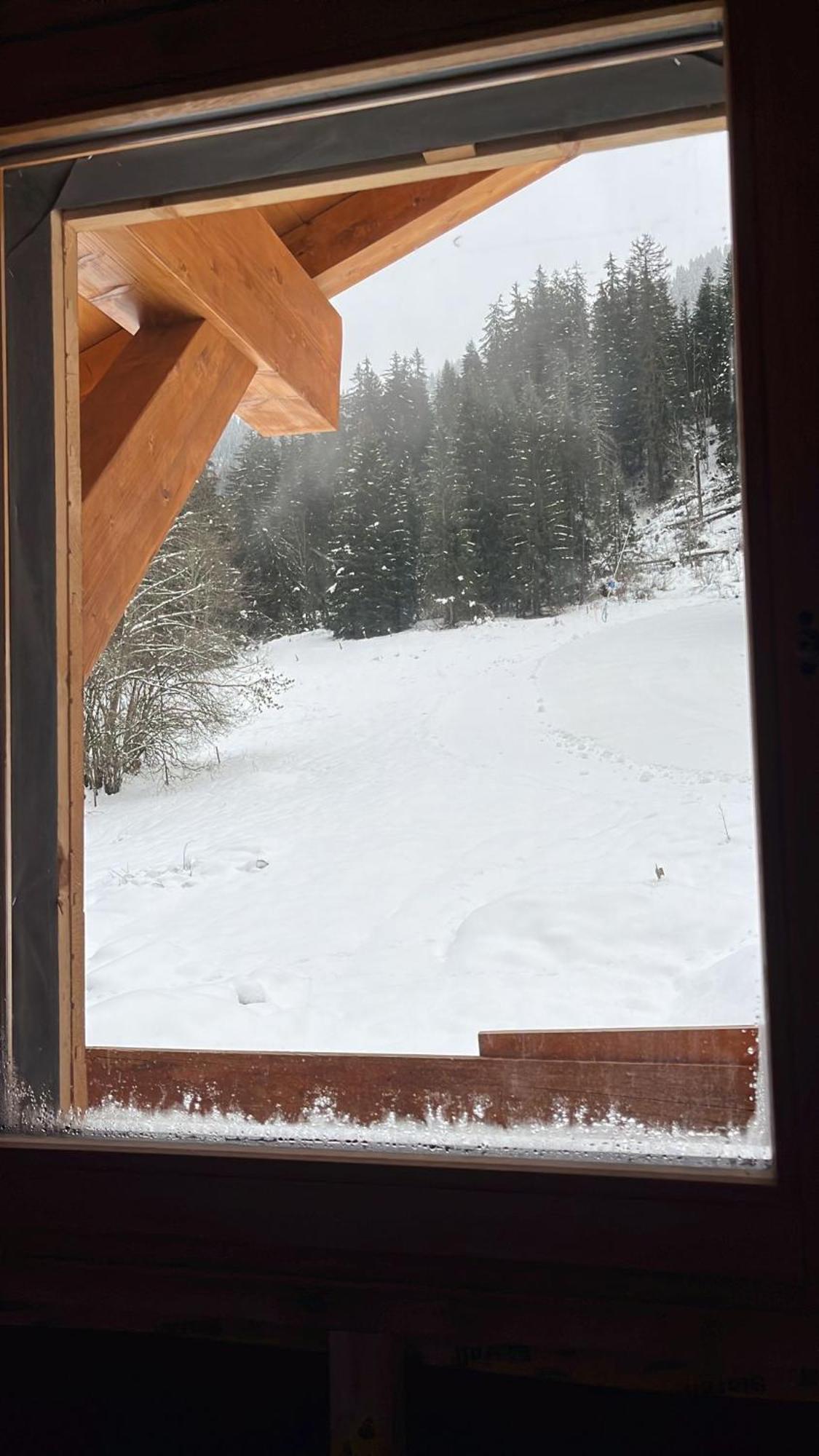 La Rose Des Neiges A Chatel Exterior photo