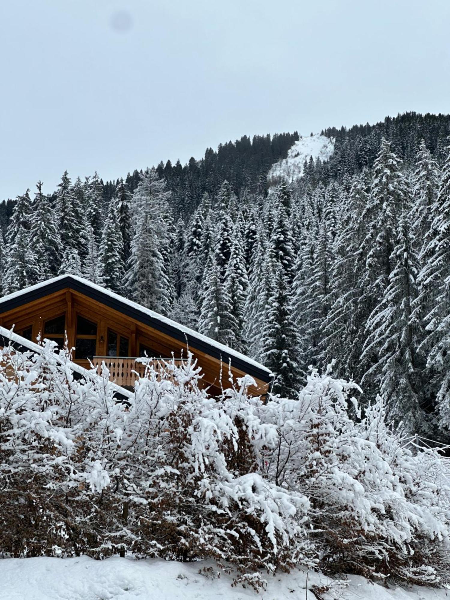 La Rose Des Neiges A Chatel Exterior photo